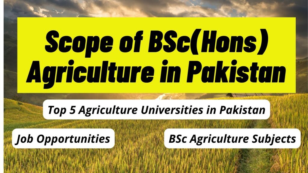 Bsc Agricultural Scope In Pakistan