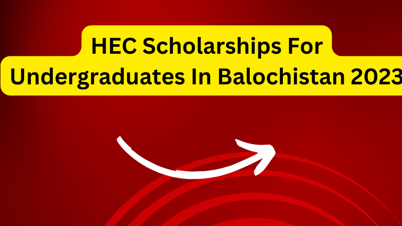 HEC Scholarships For Undergraduates In Balochistan 2023