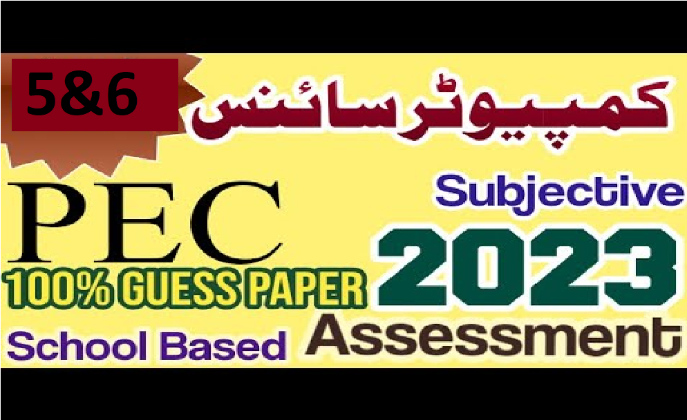 Computer Education School Based Assessment 2023 Class 5 & 6
