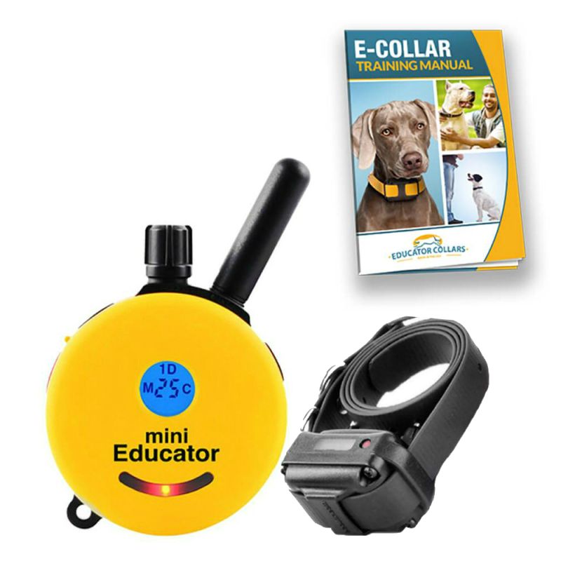 Mini Educator E-Collar Your Comprehensive Guide